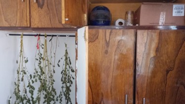 Los policías encontraron en un armario la marihuana prensada y los "cogollos" (flores) (foto: gentileza)