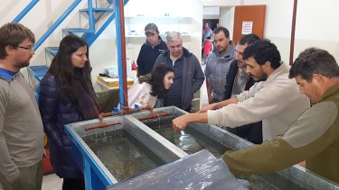 Estación de piscicultura de Regina tendrá piletas para reproducción de peces