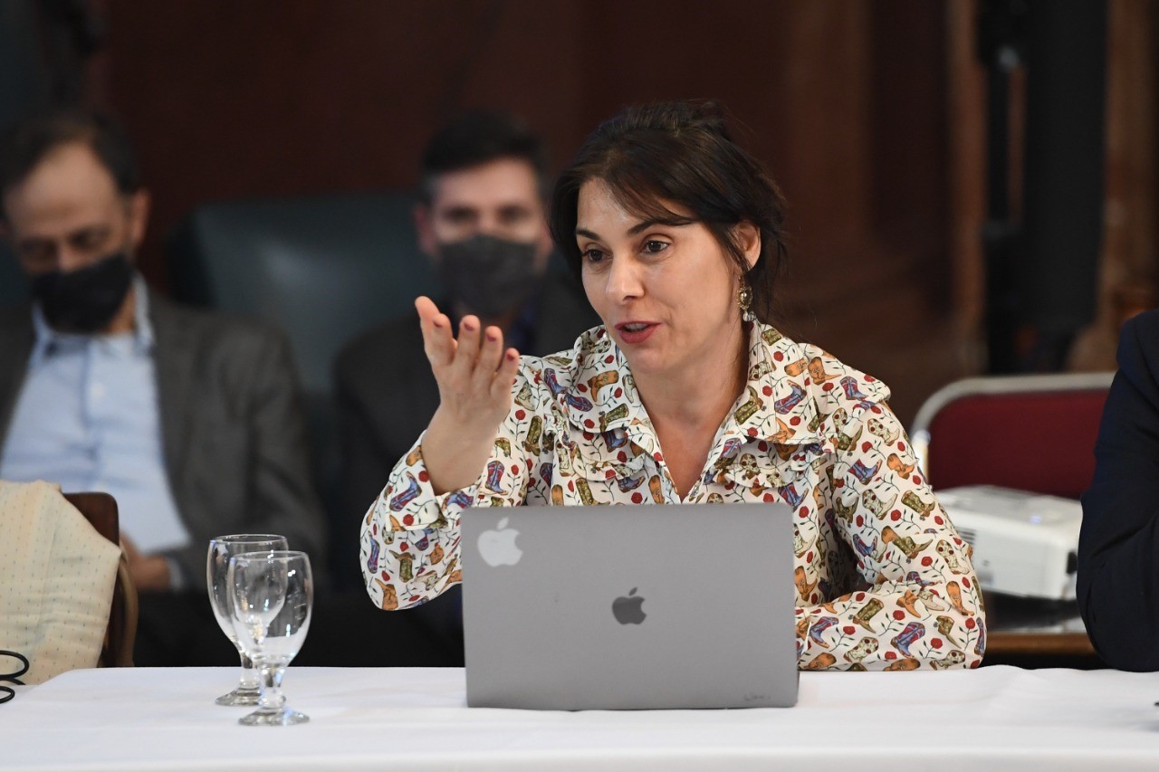 La senadora por el MPN, Lucila Crexell propuso la quita del IVA para tarifas de gas, luz y agua. Foto: Gentileza. 