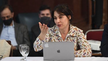 La senadora por el MPN, Lucila Crexell propuso la quita del IVA para tarifas de gas, luz y agua. Foto: Gentileza. 