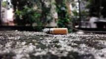 Imagen de El tabaco destroza los pulmones, pero también el medio&nbsp;ambiente