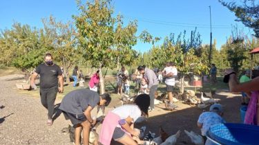 Quieren que Villa Regina sea declarada capital provincial del turismo rural.