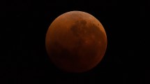 Imagen de Así se vio el eclipse «luna de sangre» en Río Negro