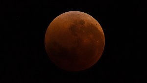 Así se vio el eclipse «luna de sangre» en Río Negro