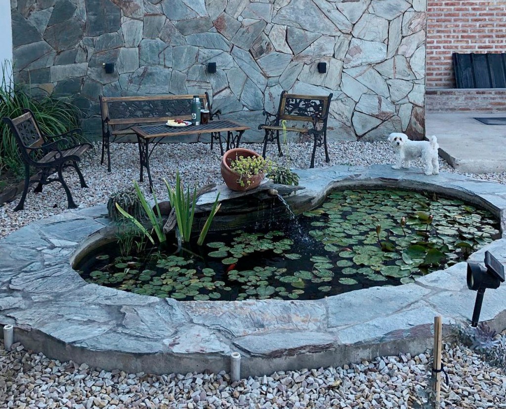 Beneficios de tener un estanque en tu propio jardín.
