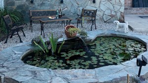 ¿No te gustaría tener un estanque en tu jardín?