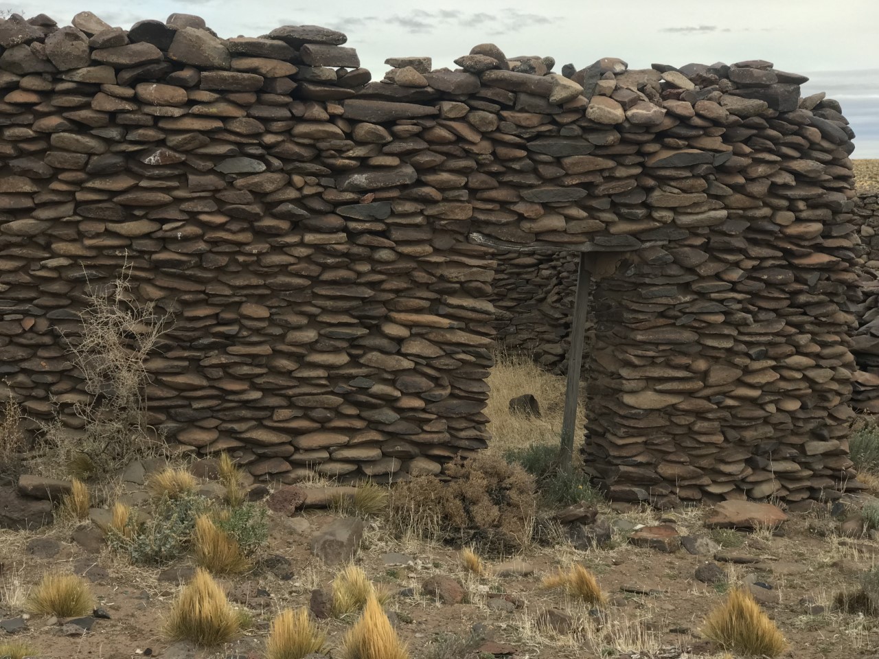 De vacaciones al campo: 5 lugares para conocer la Patagonia real entre ovejas, torta fritas e historias