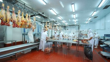 Viedma: un trabajador se lesionó el hombro al colgar novillos faenados y será resarcido