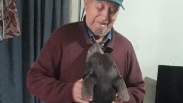 Gordo ya no se despega de su amo y lo acompaña a todos lados. (foto; gentileza)