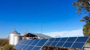 Paneles solares: Granja en Plottier cubre 100% de su demanda eléctrica con energía solar
