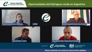 Hidrógeno verde: presentaron un informe para promover el desarrollo en el país