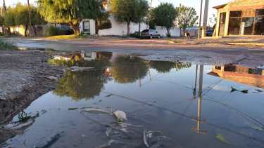 La esquina de calles La Plata y Bahamas es uno de los sectores más afectados por los desbordes cloacales. Foto Rodrigo Sandoval.