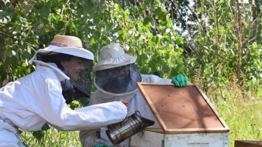 El emprendimiento Rayen Miel crece a pasos agigantados en la región.