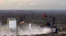 Imagen de Vaca Muerta puso en producción casi 100 pozos en 5 meses 