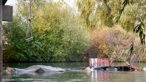 Este sábado extraerán el camión que cayó del Tercer Puente al río Neuquén