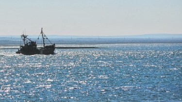 ¿Una nueva ley de pesca o una política pesquera?