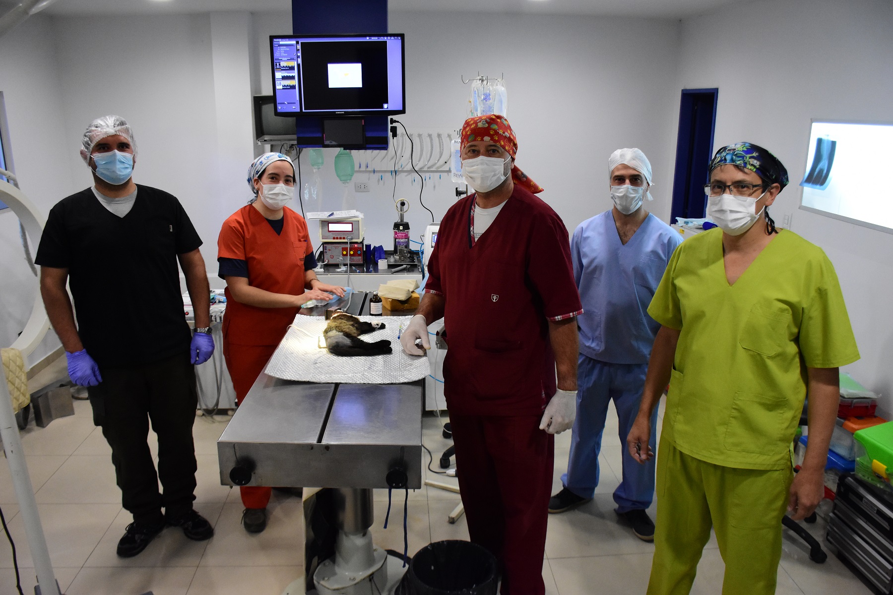 El equipo, funcionando a pleno durante uno de los procedimientos médicos. (Fotos: César Izza)