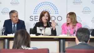 “Boleto federal”: desde el Senado Vigo y Cornejo empujan la ley y buscan apoyo