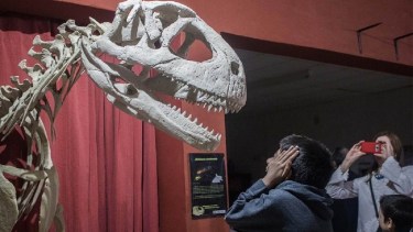 «Dinosaurios y otras bestias prehistóricas» llega a Viedma