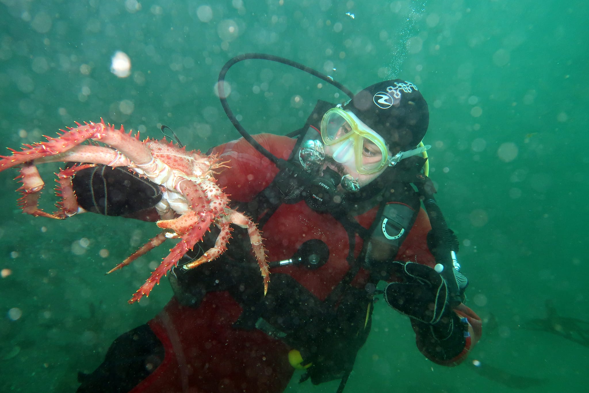 Una experiencia única en las profundidades de las aguas del famoso Canal Beagle. Fotos: Ushuaia Divers.