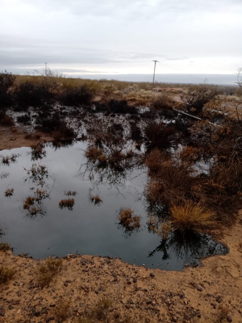 Derrame de petróleo en Vista Alegre. Foto: Gentileza Foyel Mapu 