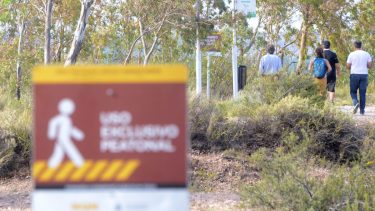 El hombre le pegó varias veces a la mujer y luego salió corriendo. Hasta el momento no encontraron al responsable. Foto (Archivo) Yamil Regules