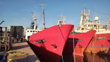 Se espera que el sistema funcione teniendo en cuenta las potenciales trampas que los buques comerciales puedan realizar