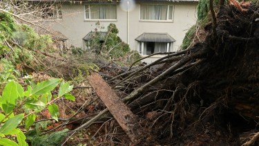 Después del temporal que dejó un alud fatal y derrumbe, la lluvia se aleja de Bariloche