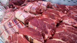 Actualizaron los precios de la carne en el programa «Cortes Cuidados»