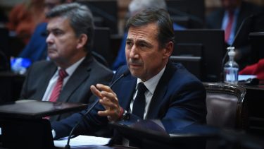 Naidenoff fue lapidario con el informe de Manzur.