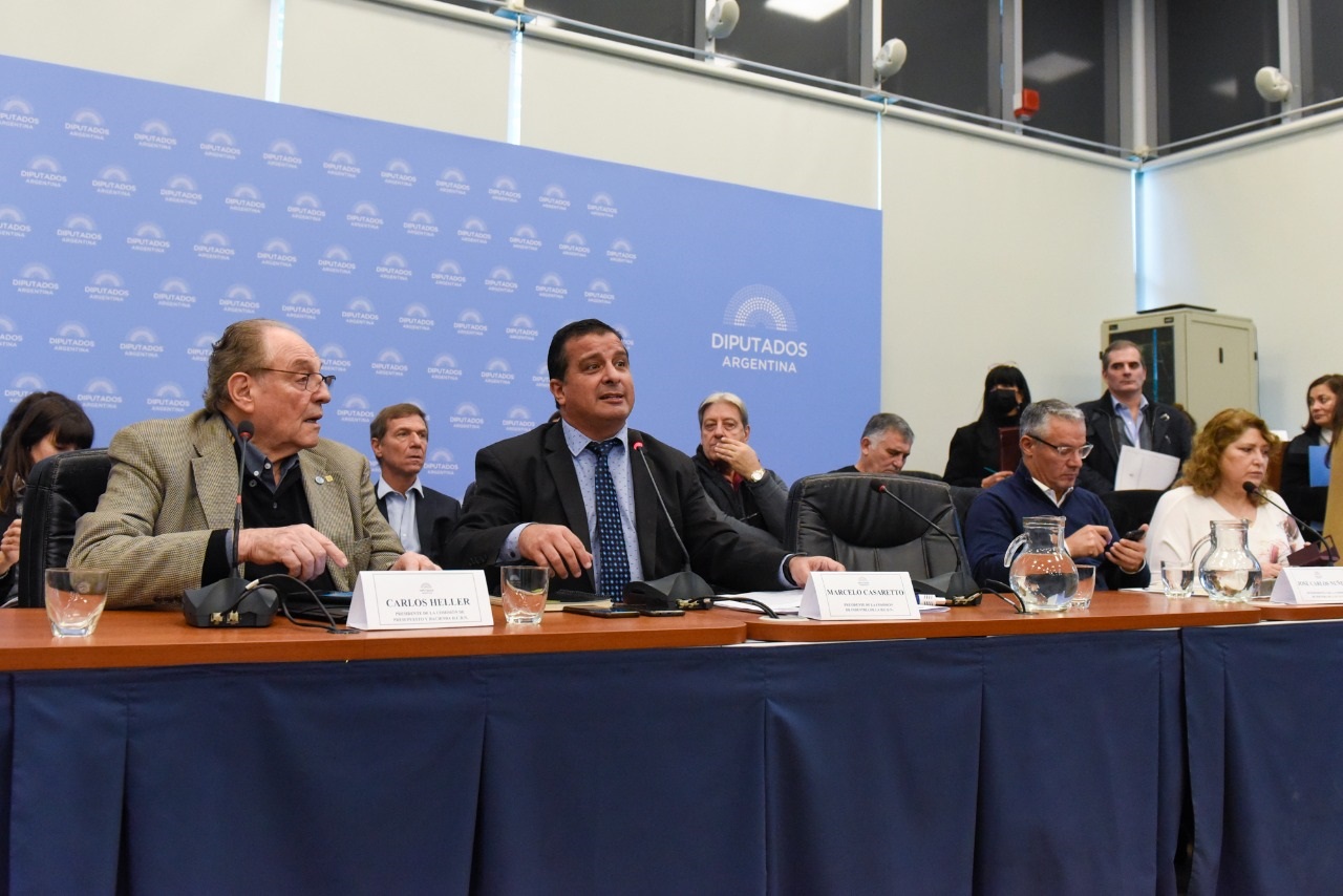 Diputados avanza en proyecto de ley de industria automotriz - Diario ...