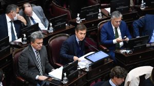 Cristina Kirchner se cruzó con Luis Naidenoff en el Senado y lo chicaneó en inglés