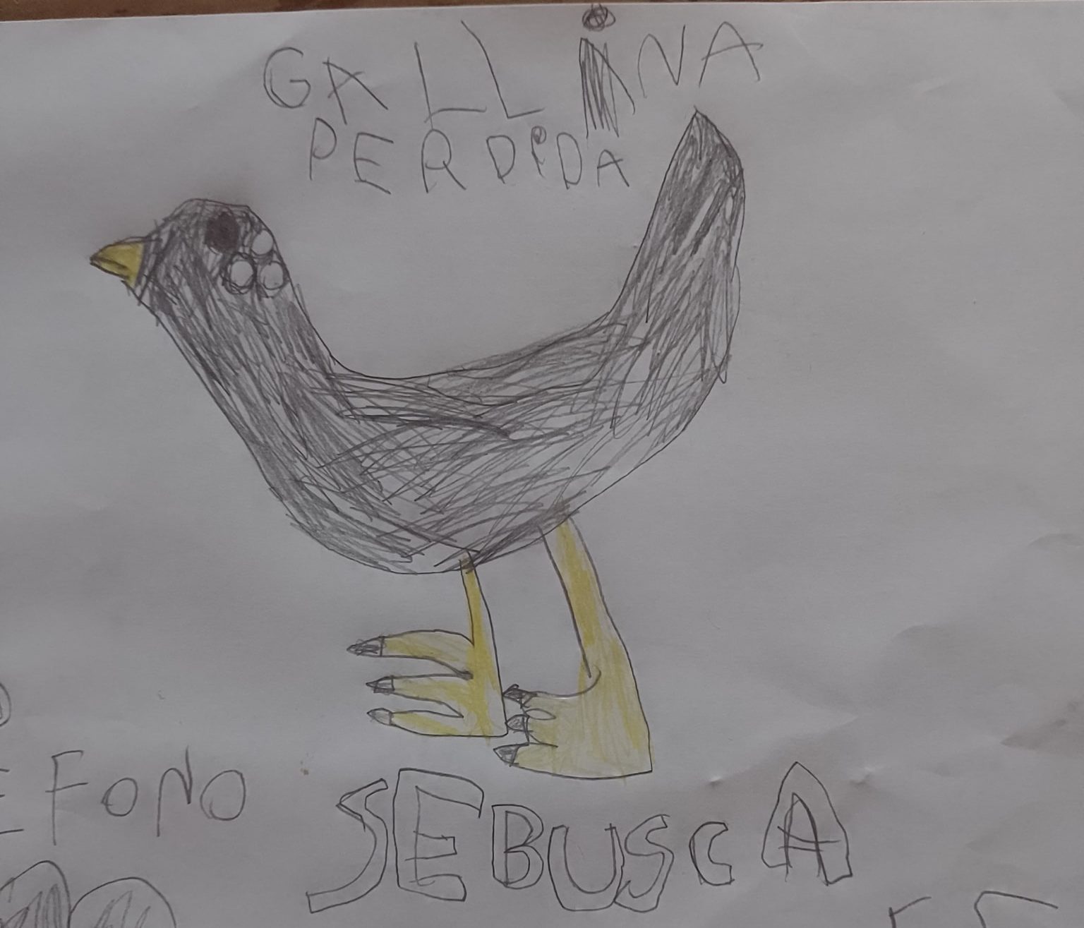 A falta de foto, una nena hizo un dibujo de su gallina perdida y logró  encontrarla