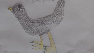 A falta de foto, una nena hizo un dibujo de su gallina perdida y logró encontrarla