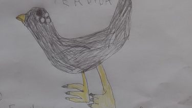 El dibujo que realizó la nena para buscar su gallina. 