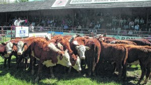 Potenciar las ferias ganaderas