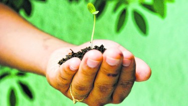 La relación entre psicoanálisis y medio ambiente