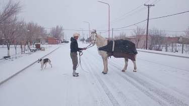 Las nevadas volverán a la zona sur y cordillerana de Neuquén y Río Negro. 