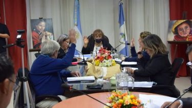 El Concejo Deliberante aprobó la norma por unanimidad. (Foto: gentileza)