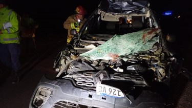 El impacto con el animal fue en la Ruta 22, (Foto: Gentileza)
