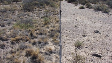 La recuperación de mallines ayuda a hacer sostenible la crianza de ganado caprino (Ministerio de Producción)