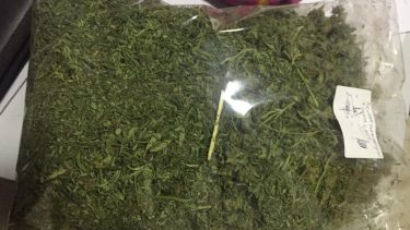 Los delincuentes llevaban la droga escondida en una mochila. 