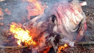Policías secuestraron y quemaron 100 kilos de carne de vaca en Valle Azul
