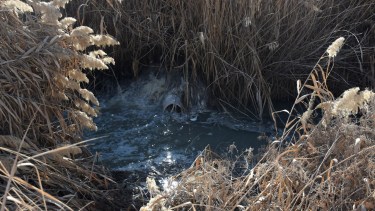 Miles de residuos cloacales en Allen se descargan en un desagüe sin su debido tratamiento. Foto Juan Thomes