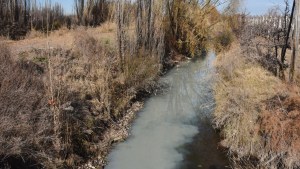 Legisladores del FdT pidieron informes por las descargas de líquidos cloacales en Allen