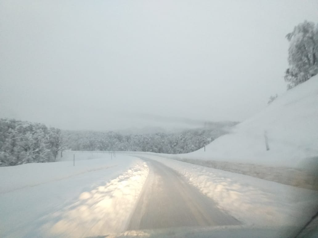 Suspenden tránsito en rutas de Neuquén por alerta de nevadas Foto: Gentileza Vialidad 