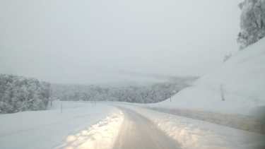 Suspenden tránsito en rutas de Neuquén por alerta de nevadas Foto: Gentileza Vialidad 