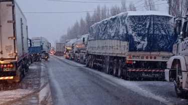 Un camión quedó varado por su gran porte y complicó el tránsito en la zona rural de Roca