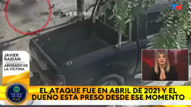 Condenaron a 6 años y medio de prisión al dueño de tres perros que mutilaron a un hombre. 