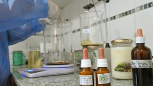Ciclo de capacitaciones sobre Cannabis en Cipolletti: cuándo es y dónde inscribirse